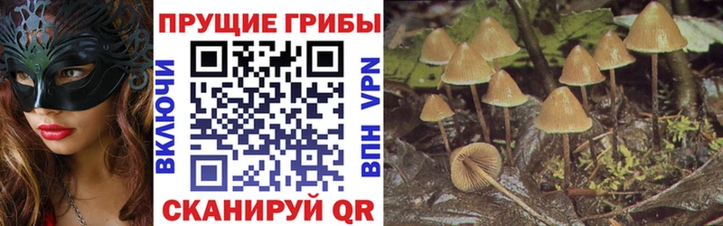 Галлюциногенные грибы MAGIC MUSHROOMS  MEGA tor  Гуково 