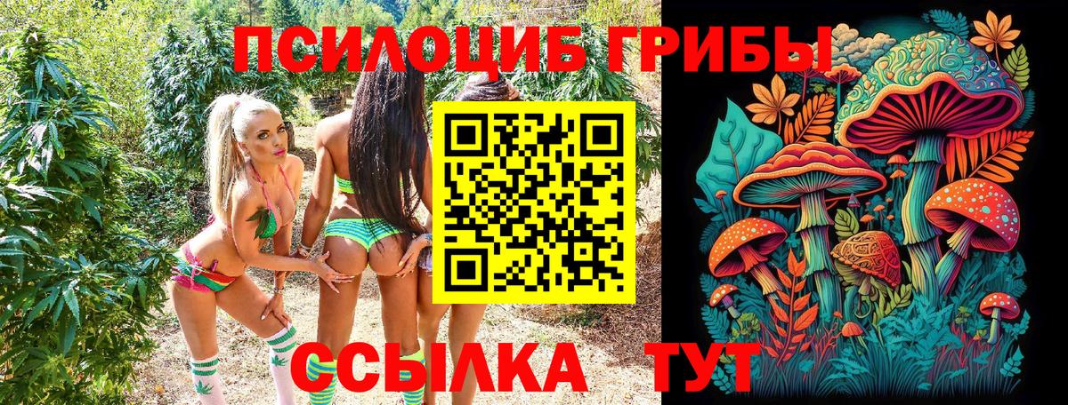 Псилоцибиновые грибы GOLDEN TEACHER Гуково