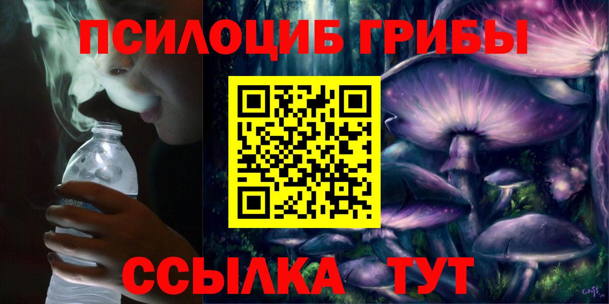 Псилоцибиновые грибы Cubensis  Гуково 
