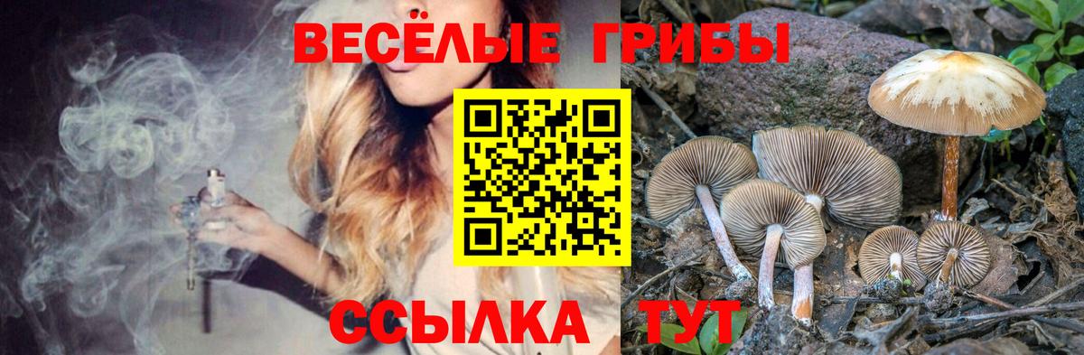 Галлюциногенные грибы ЛСД  Вход с VPN  Галлюциногенные грибы прущие грибы  Гуково 